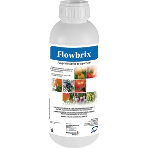 Flowbrix