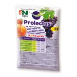 Prolectus