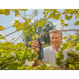Nożyce Gardena AssistCut