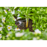 Zestaw startowy Gardena Micro-Drip-System do rabat / 35 roślin