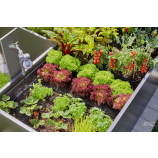 Zestaw startowy Gardena Micro-Drip-System do rabat / 35 roślin