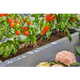 Gardena Zestaw startowy Micro-Drip-System na tarasy / 30 roślin
