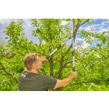 Gardena TeleCut Basic, teleskopowe nożyce do zielonego drewna
