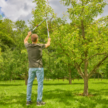 Gardena TeleCut Basic, teleskopowe nożyce do zielonego drewna