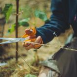 Nożyczki uniwersalne Fiskars, 21 cm 1075031
