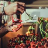 Nożyczki uniwersalne Fiskars dla leworęcznych, 21 cm 1075035