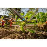 Gardena Motyka ogrodowa PureLine FSC® 100 %