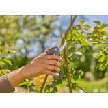 Gardena Nożyce ogrodowe PremiumCut Flex, obosieczne, nożyce ogrodowe, do zielonego drewna, 24 mm
