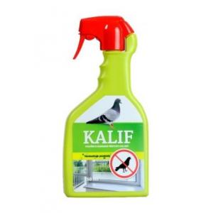 Ptaki i gołębie kalifa