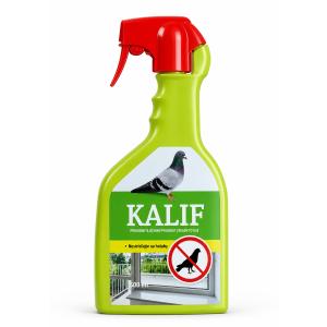 Ptaki i gołębie kalifa