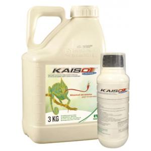 Kaiso sorbie