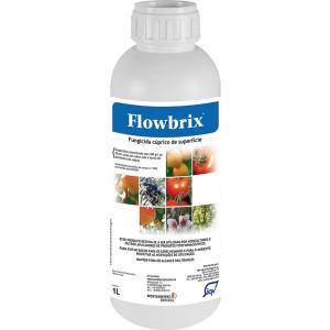Flowbrix