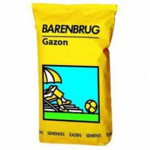 Trawnik Barenbrug