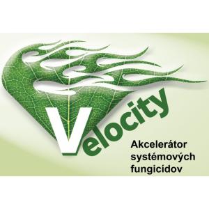 Velocity