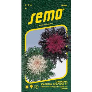 Nasiona Jarmuż ozdobny Peacock F1 mix 20s