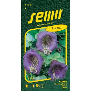 Nasiona Kobea Blue Bell 0,7 g