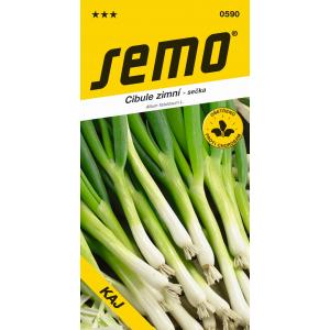 Cebula nasienna Cayenne zimowa całoroczna na zrazy 1,8g