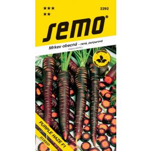 Semo Carrot Purple Haze F1 marchew półpomarańczowa fioletowa 350s