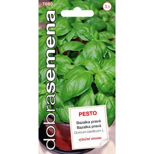 Dobre nasiona Bazylia - Pesto, typ Genovese 0,3g