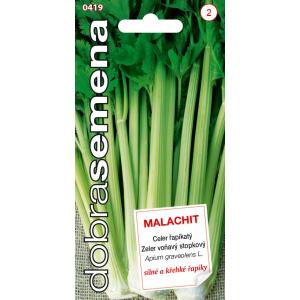 Dobre nasiona Łodyga selera Malachit 0,25g