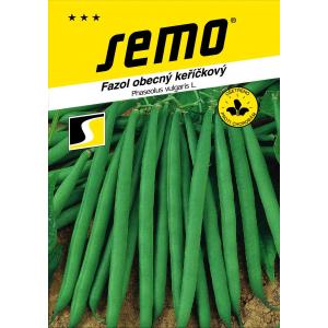 Fasola szparagowa zielona Gama bez błonnika 20g