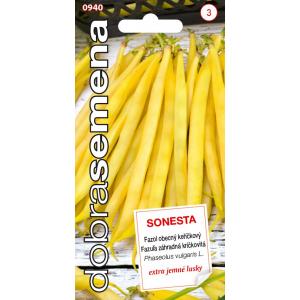 Dobre nasiona Fasola Bush - Sonesta 10g