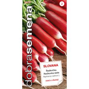 Dobre nasiona Rzodkiewka słowacka czerwona i biała 4g
