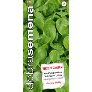 Dobre nasiona waleriany Verte de Cambrai 2g