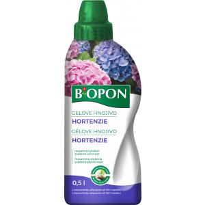 Hortensja żelowa Bopon