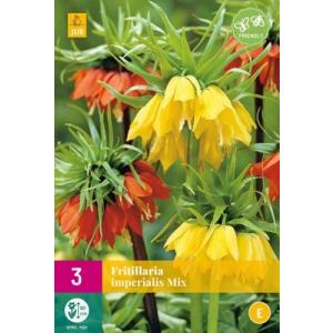 Fritillaria Imp.Mix "E"