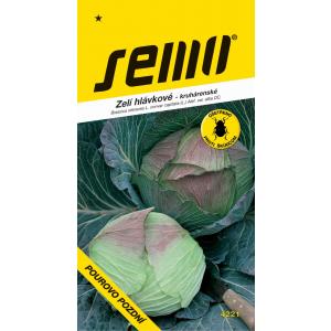 Nasiona jarmużu Pourovo late 0,6g