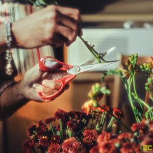 Nożyczki uniwersalne Fiskars dla leworęcznych, 21 cm 1075035