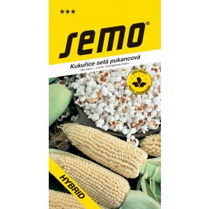 Kukurydza nasienna Amber F1 późna 6g