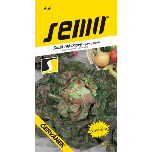 Nasiona Sałata wiosenna Trybula 0,6g