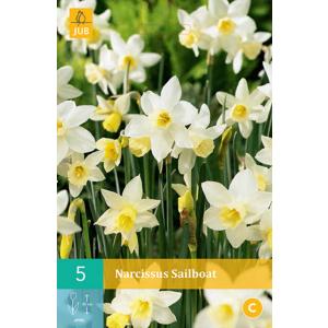 Żaglówka Daffodil "C"