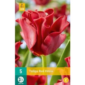 Czerwona sukienka Tulip "C"