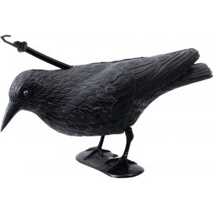 Ptak Strach na wróble Crow Stocker