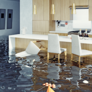 Korzystanie z SanoGARDEN po powodzi