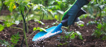 5 najlepiej sprzedających się produktów ogrodowych