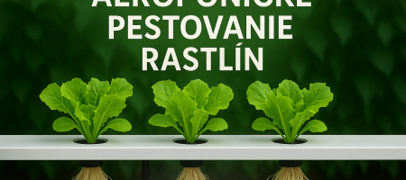 Uprawa aeroponiczna